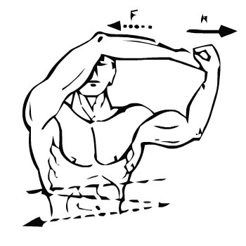 Упражнения для мышц рук - бицепс
